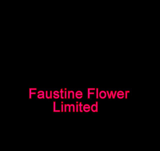 Faustine: Crossdresser seksi skirt stoking kasut tumit tinggi