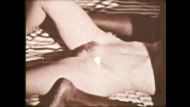 The Unforgettable: Ngựa con hoang dã