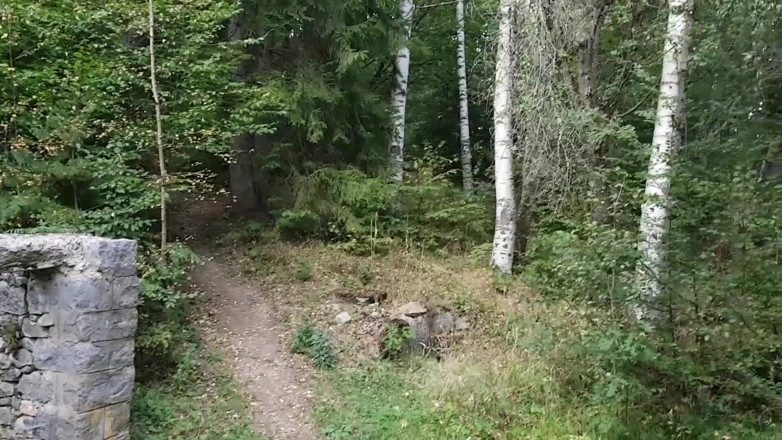 Tiny Teena: Forest BJ and Fuck