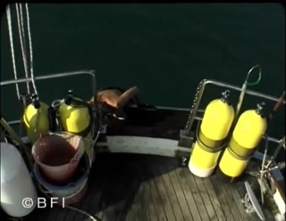 House of lords and mistresses in the spanking zone: Submeisje laat haar vriend haar straffen op zijn boot