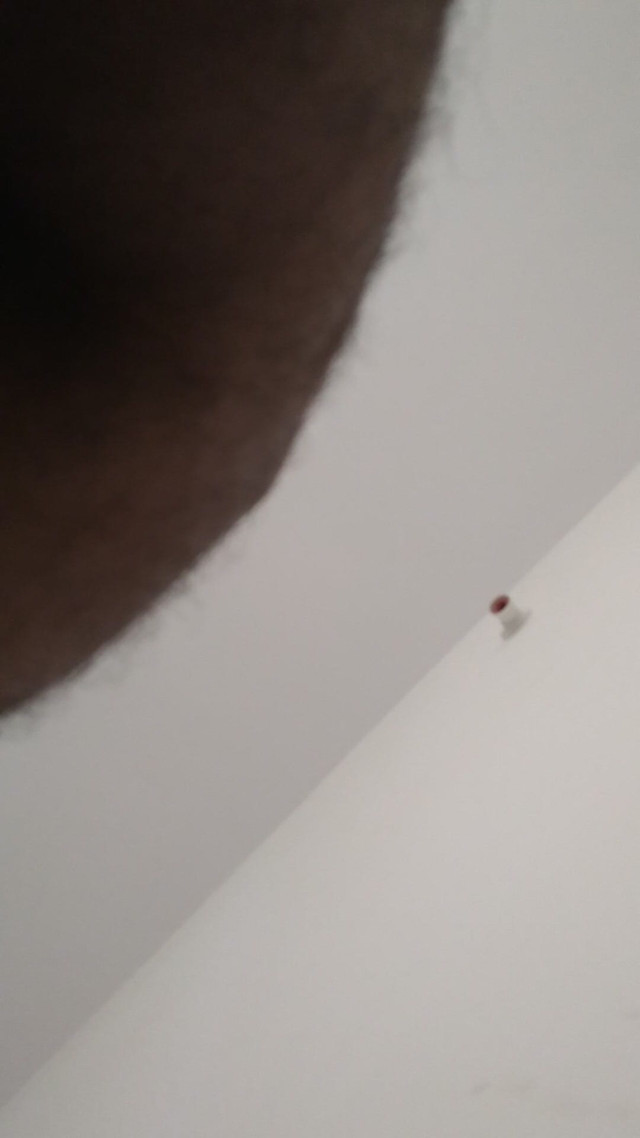 My Hot Girlfreind Fucking in My Home in My Bedroom Part 1 (Shaggy hardcore) My Hot Girlfreind Fucking in My Home in My Bedroom Part 1 (Shaggy hardcore)