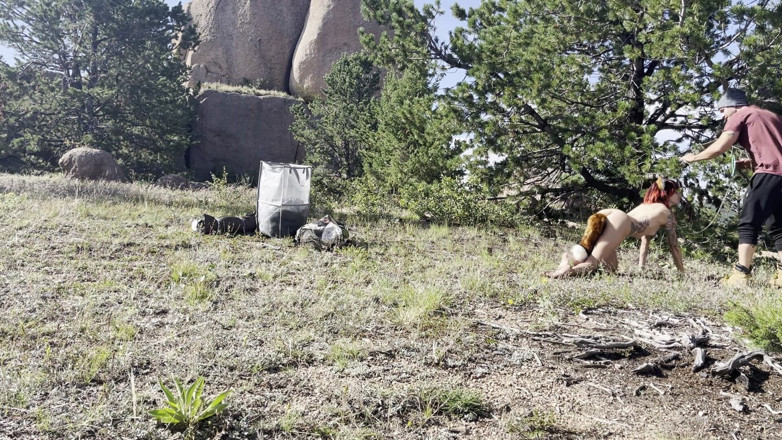 MYA Pleasure: Ormanda bir tilki