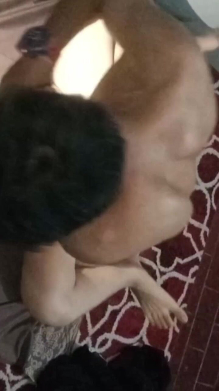 KingLeo: Встряхивание Тофу Для Сотрудников