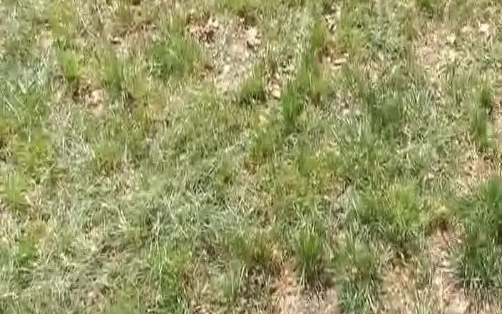 Porno kino: Redhead German Slut Rides Dick in Nature