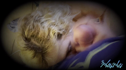 Molly MILF: Hanya kongkek Blowjob.mp4