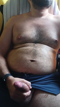 Urs lăptos