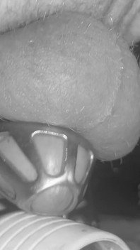 Fait pour jouir dans une cage de chasteté retenue sur la table de traite