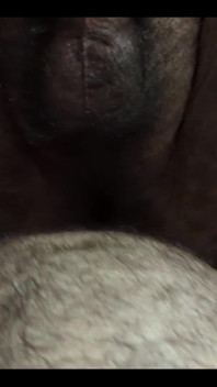 Hairy Men Having Sex
