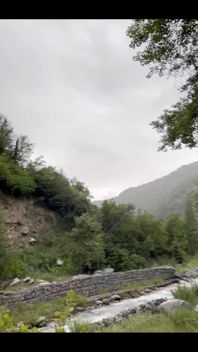 I really love nature in the rain!