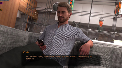 Porngame201: 完美婚姻更新 30 继续