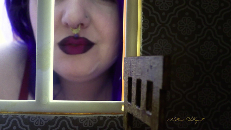 Mxtress Valleycat: Contes de la maison des sorcières