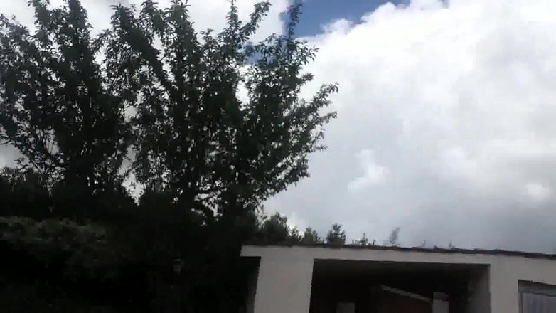 savannahamatoriale: Пописяй на сидіння моєї машини!-pip sul sedile