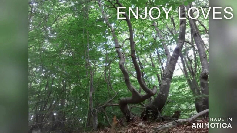 Wet Sex: PeeSex ao ar livre para a floresta.
