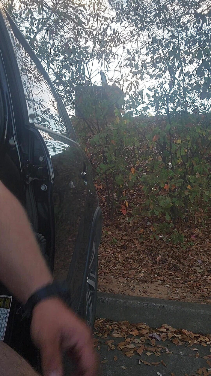 Djk31314: Ut tillbaka våffelhuset