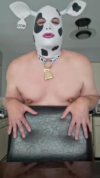 Daddy's Pretty Plump Hucow! Moo!