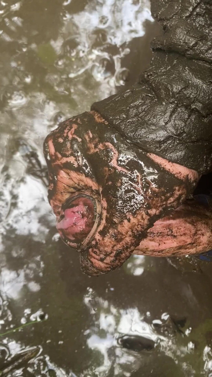 Melvins: Crot saat lagi berkumur