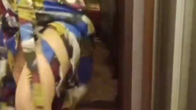 Maturelady001: Mentre il figliastro non è a casa