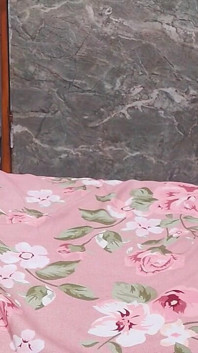 Bed Masturbated