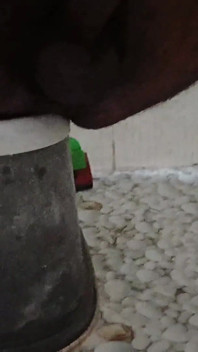 Indický oceánský chlapec