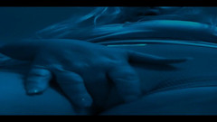 PaintedRose: 743203544831635456.mp4