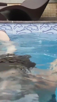 水中フェチ - ジェシカと奴隷ビアンカによるプールでの空気制御と練習
