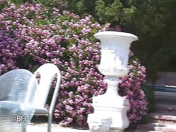 Battle of the asses and pussies: Yaklaşık 7 erkek bu dev iri güzel kadını sikebilir