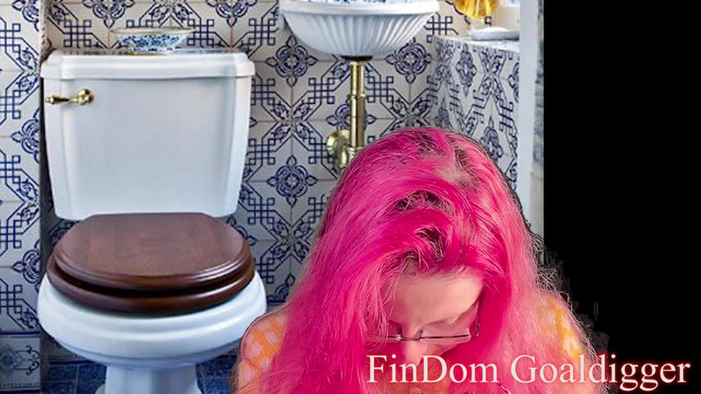 FinDom Goaldigger: Gold toilet transformation