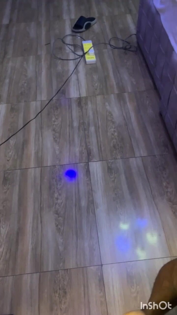 Creamyverseguy2: 질싸 엉덩이