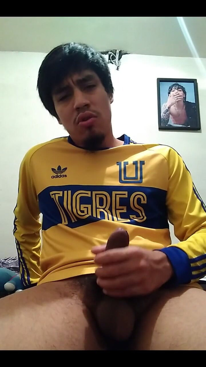 AlexAlejandro13: Vamos Tigres, estou voltando rico.