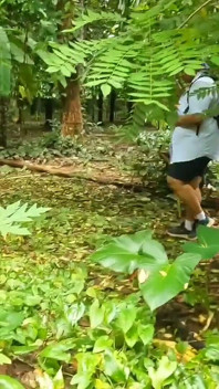 แม่บ้านในวันหยุด, เดินแก้ผ้าในป่า เปิดโปงตูดเซ็กซี่และนมใหญ่ของเธอ