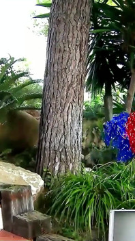 Clown tröstet sexy dünne Suhaila Hard mit seinem großen schwanz