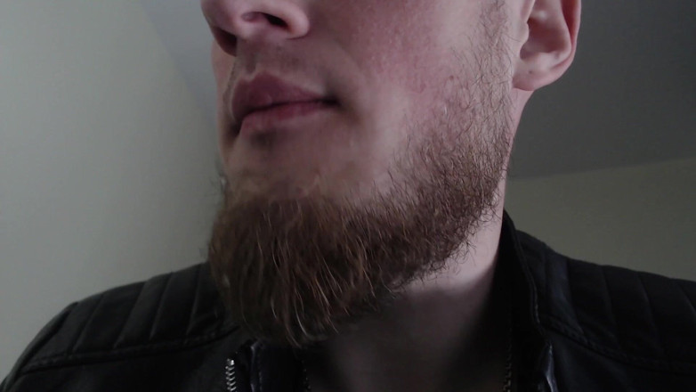 Hunky time: Master in the Leather Jacket Is Drooling