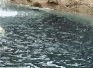 Black Jass: Deslumbrante gata negra é fodida na piscina