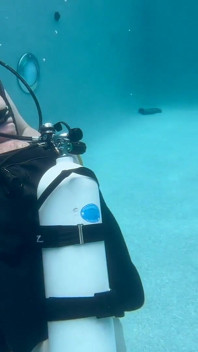 Scuba Fucking
