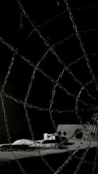 Trailer 376
