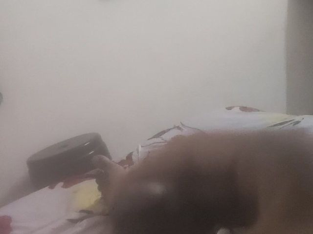 Sxstyle black dick (Sxstyle)