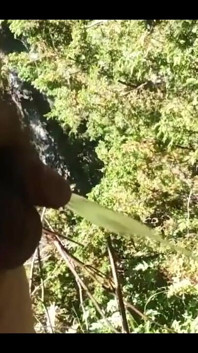 Taste My Piss