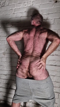 Urso musculoso peludo acariciando