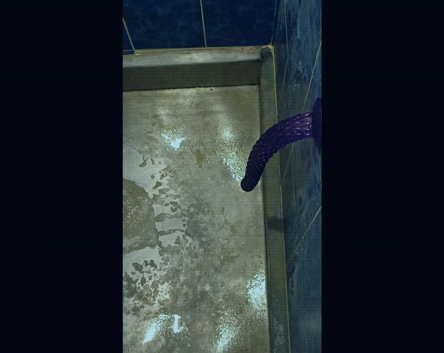 Back in the Shower, Playing with My Anus Again... (Robert Douglas ornifresh)