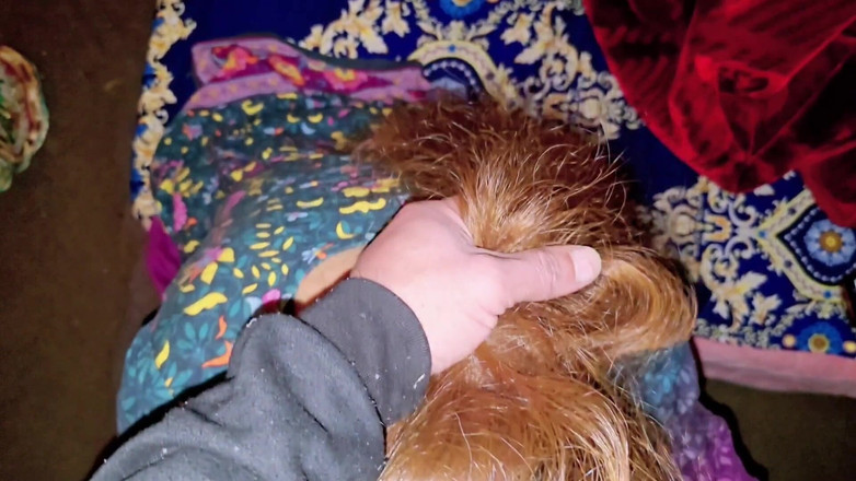 Faryal: India da mamada descuidada