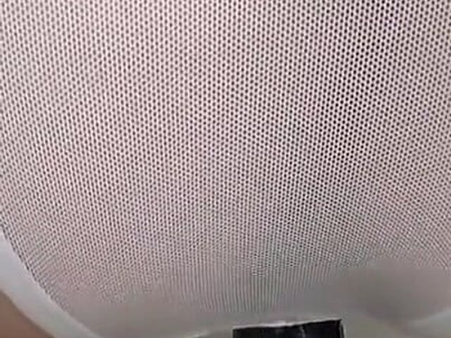 Horny Asian sluts #381 (Asian teeny club)