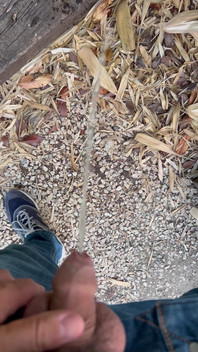 Peeing in the Garden