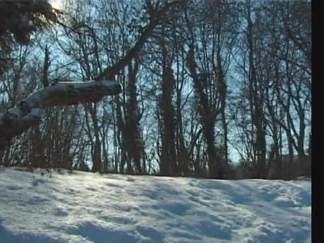 Porncentro: sno bani pahaar ke kinaare land ki savaari karti hai