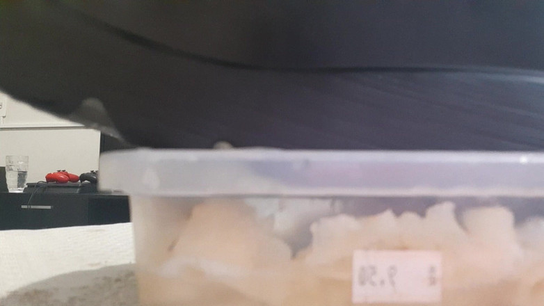 Bladexfeet: Drtit ananas botami