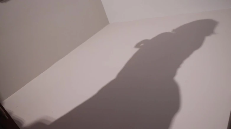 Countess diamond: Worship My Shadow - My Pleasure, Your Denial