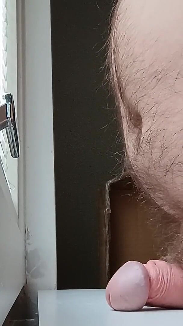 Window Fuck (Ed Eden)