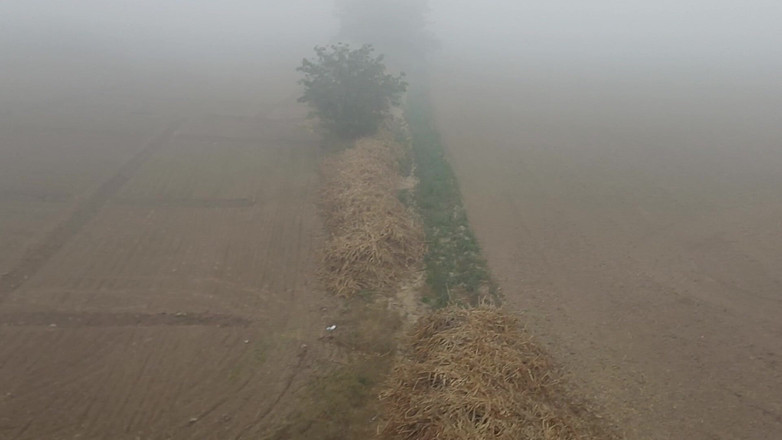 Austin Rose: インドの父親が凍える冬の霧の中で服を脱ぐ