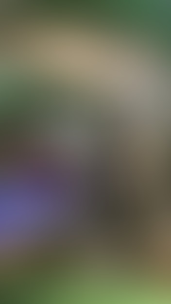 Locked due to age restriction