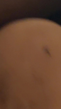 Sexdocka