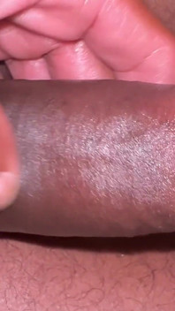 Habesha dick